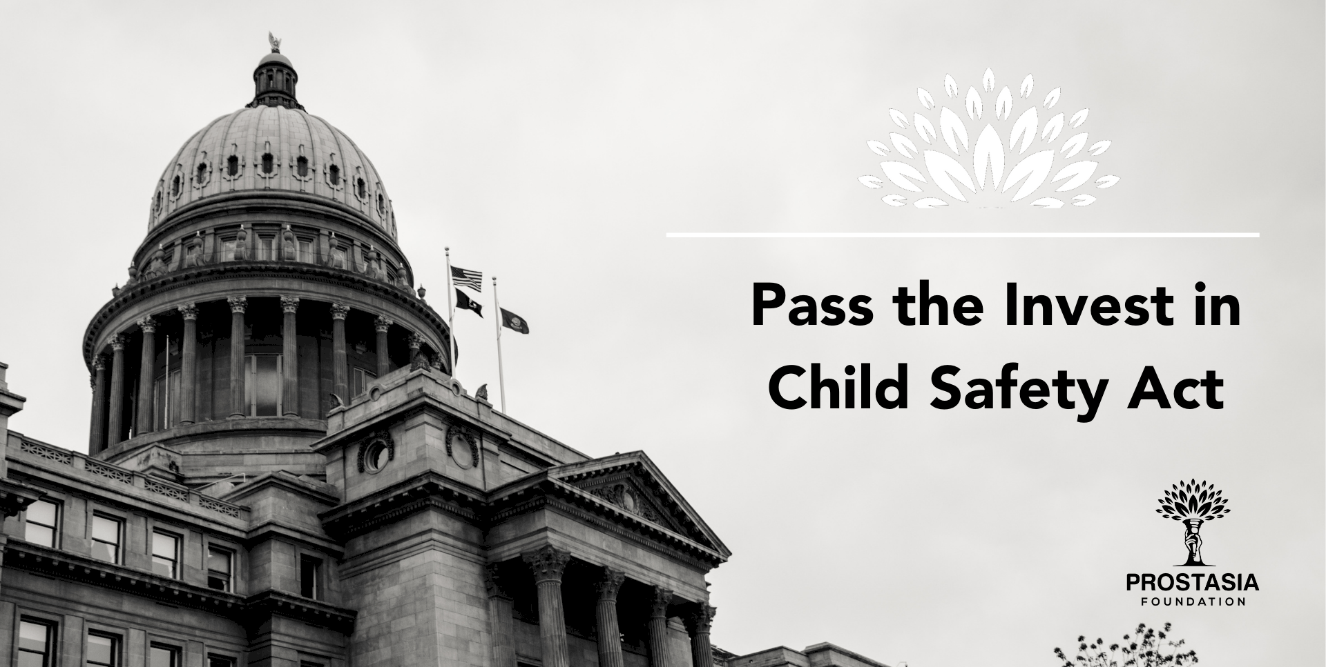 Support the Invest in Child Safety Act Prostasia Foundation