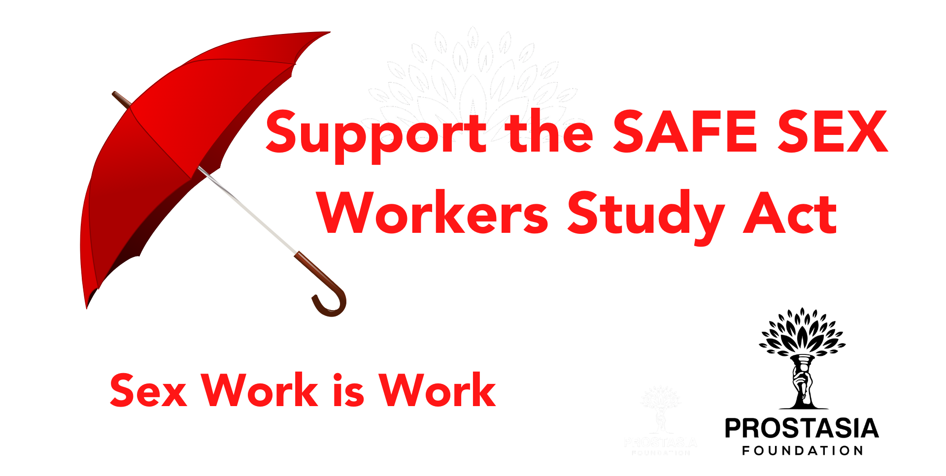 Support the SAFE SEX Workers Study Act - Prostasia Foundation