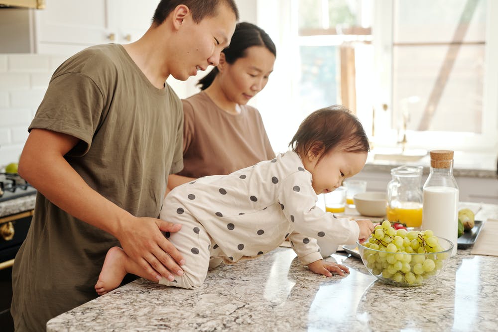 A man and a woman stand behind a young girl climbing on a counter to reach a grape. The man holds her legs to steady her.